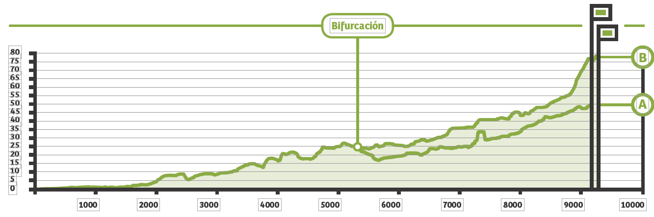 Alimetría de la Senda Fluvial del Piles