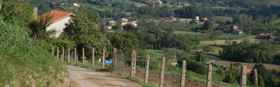 Camino a Covadonga desde Gijón/Xixón