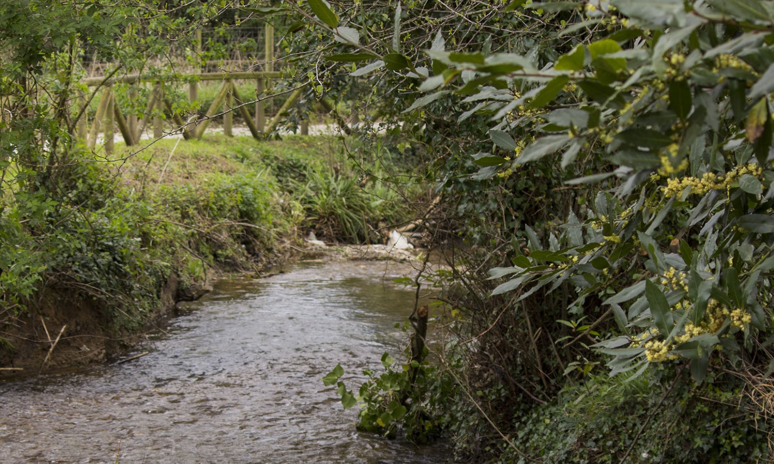 Senda Fluvial del Piles