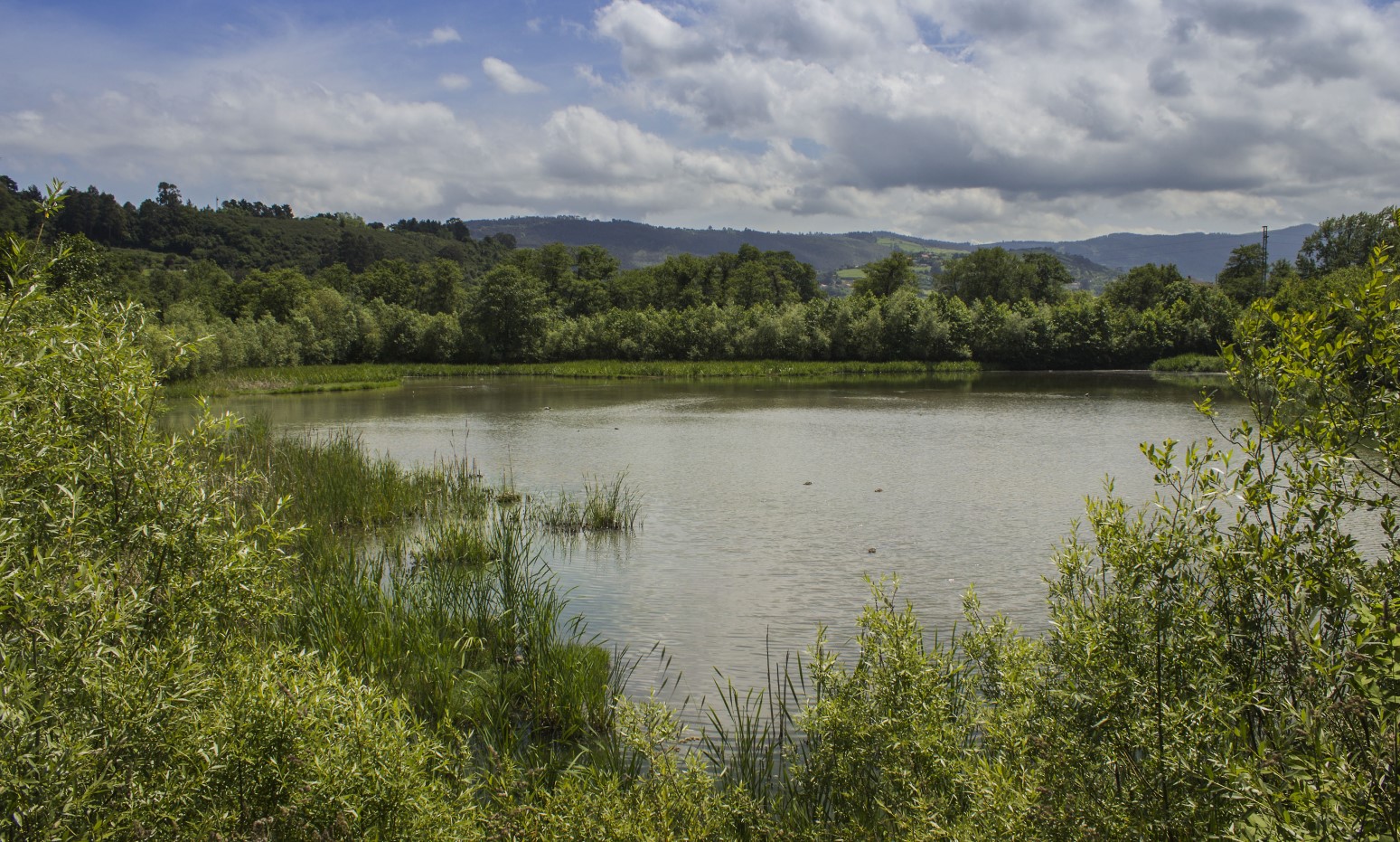 Senda Fluvial del Piles